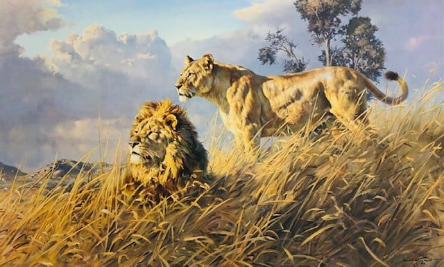 African Evening - Lions by Donald Grant