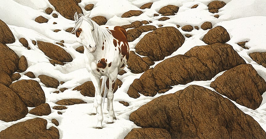 Hide And Seek - B-3 By Bev Doolittle