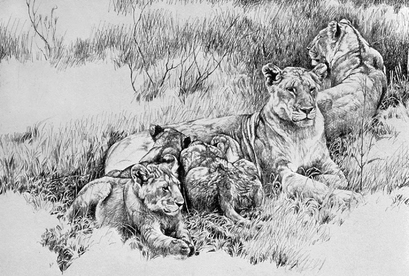 Lioness and Cubs by Robert Bateman