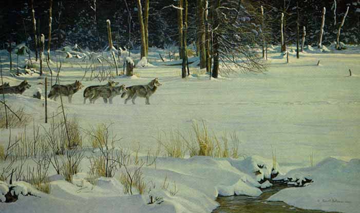 Wolves on the Trail by Robert Bateman