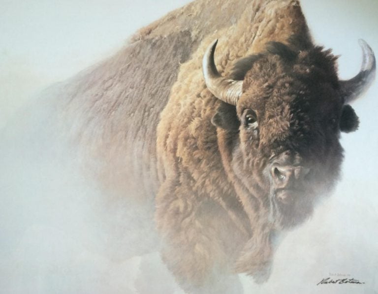 Chief American Bison By Robert Bateman   Batemanchief 2 768x597 