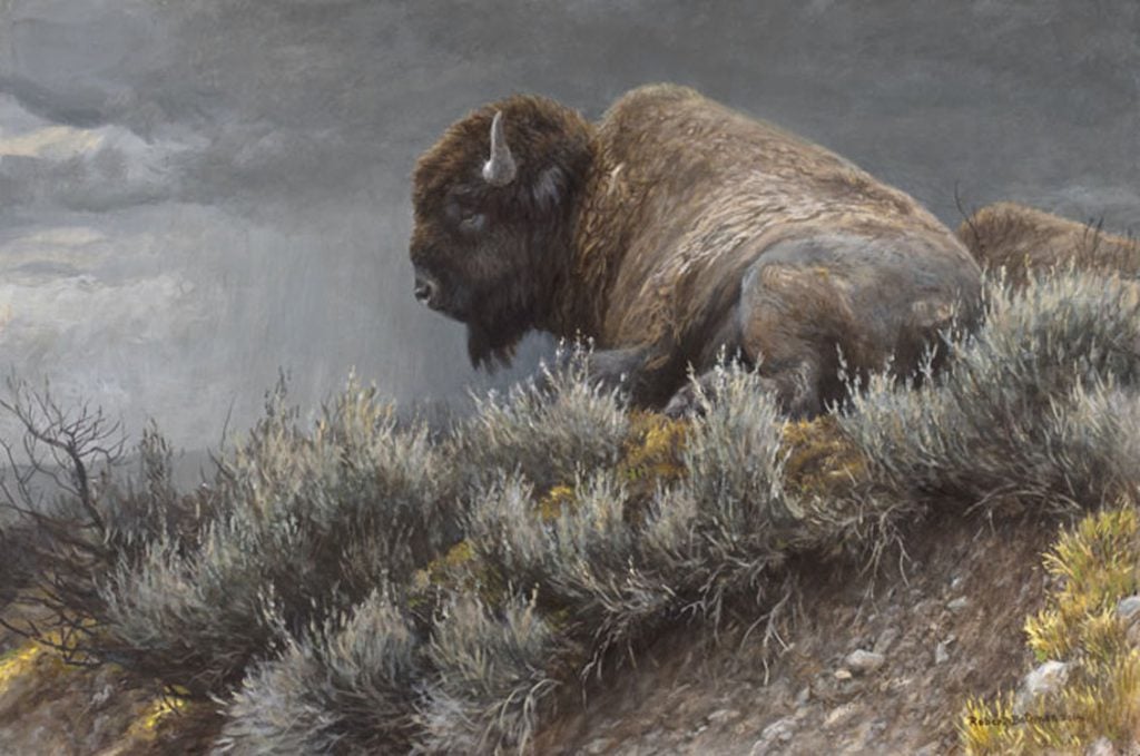 Weather Watch - Bison by Robert Bateman