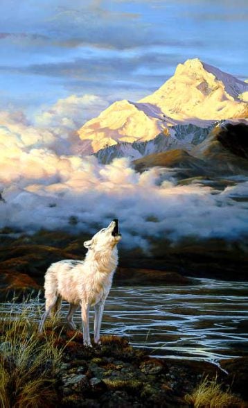 Alpenglow - Arctic Wolf by John Seerey-Lester