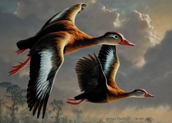 Federal Duck Stamp Print 1990 - Medallion Edition