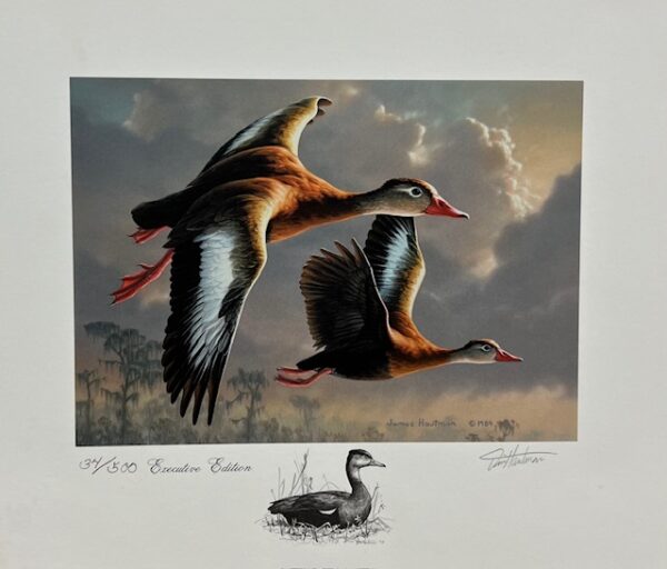 Federal Duck Stamp Print 1990 - Executive Edition - Medallion and Remarque (Excellent Condition)