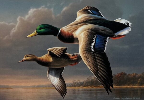 Federal Duck Stamp Print 1995 - Medallion Edition