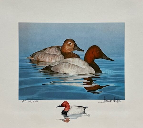 New Jersey Duck Stamp Print 1984 - First of State - Executive Edition (Medallion and Remarque)