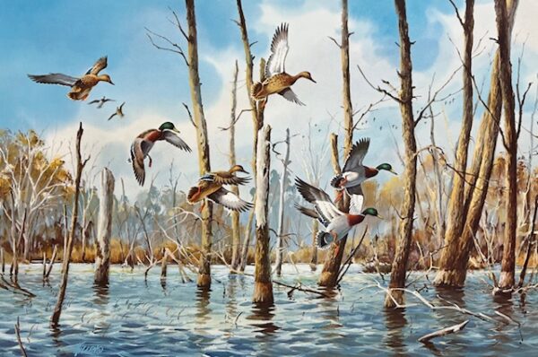 Flooded Timber - Mallards (Excellent Condition)