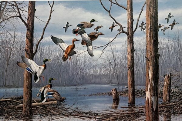 Deadwood Corner - Mallards (Excellent Condition)