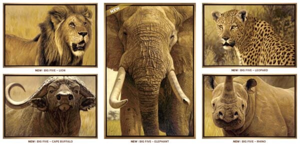 The Big Five Collection - Set