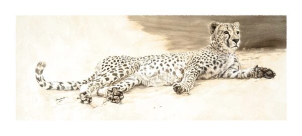 Cheetah Repose - Sepia