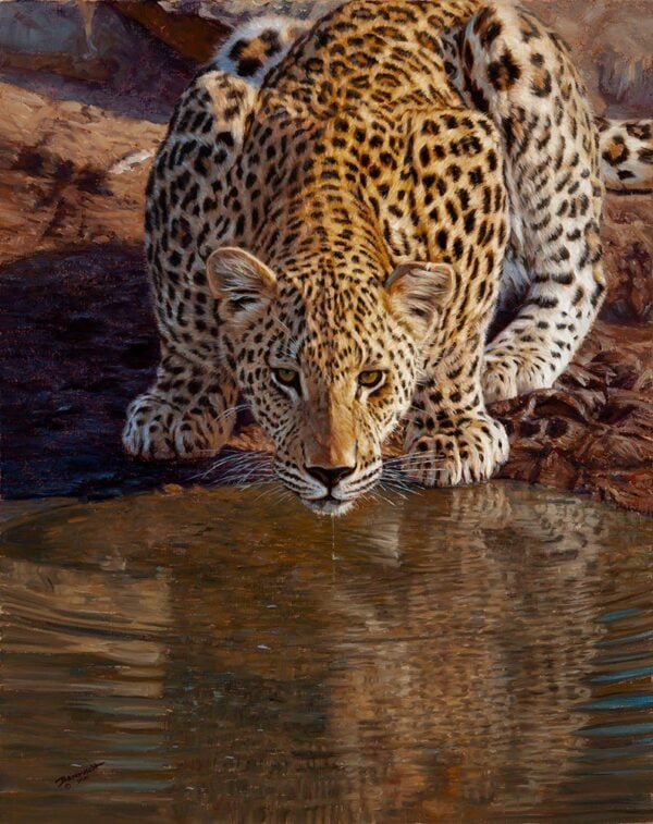 Fresh Water - Leopard