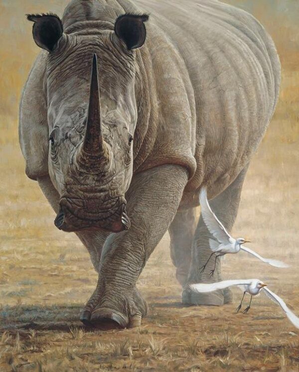 Great White - Rhinoceros