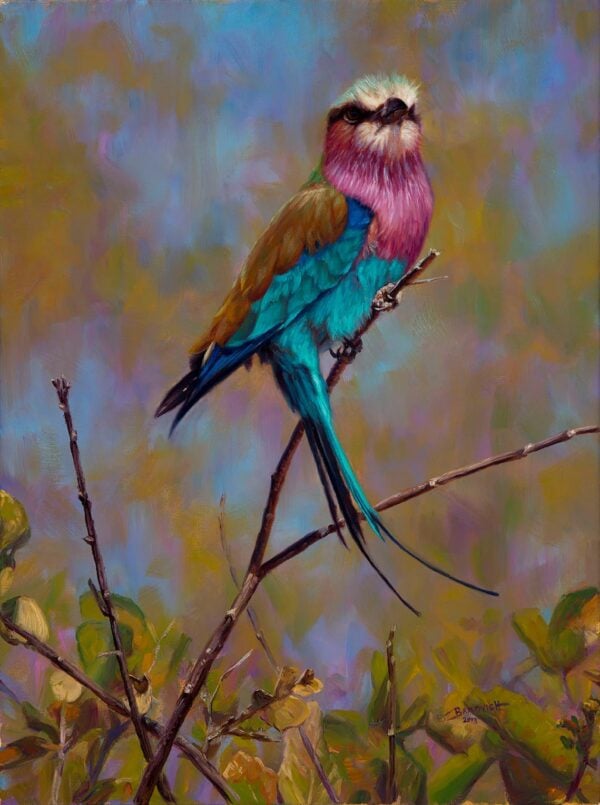 High Roller - Lilac Breasted Roller