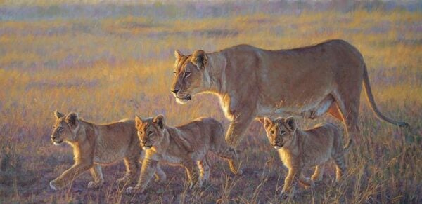 Joining the Pride - Lion & Cubs