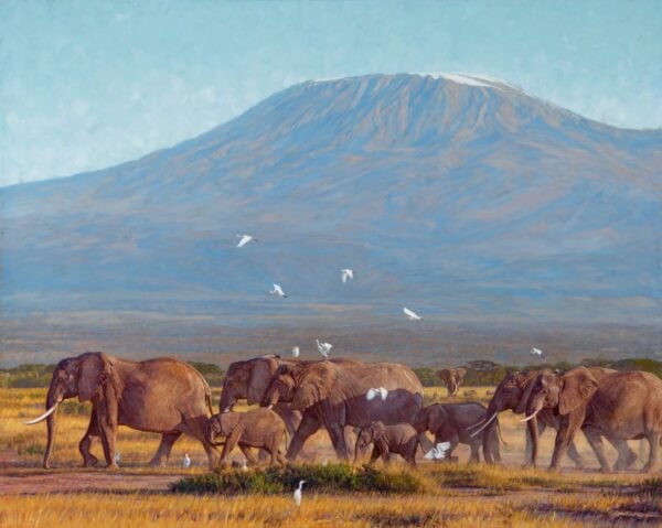 Near the Slopes of Kilimanjaro - Elephants