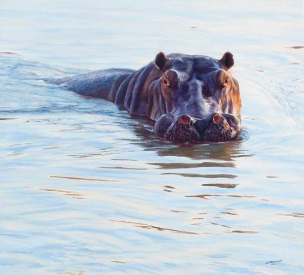 River Horse - Hippo