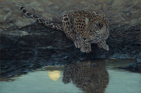 Under the Hunter's Moon - Leopard