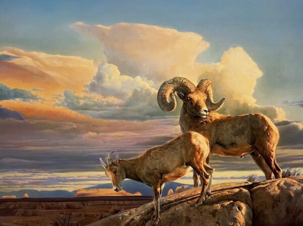 Desert Bighorn - Mormon Ridge (Excellent Condition)