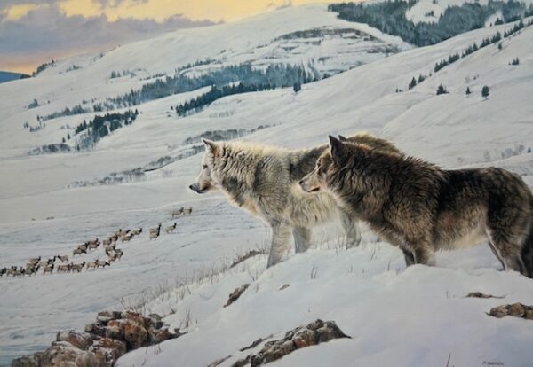 Prey for the Predator - Wolves
