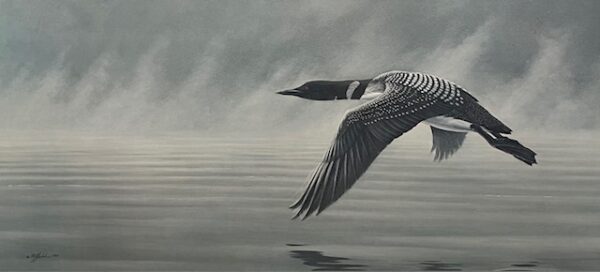 Misty Flight - Loon