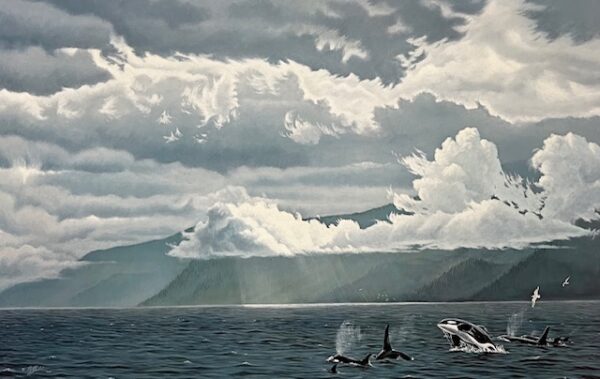 Straight Course - Orcas