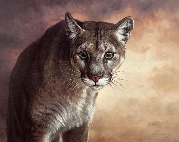 Intensity - Cougar