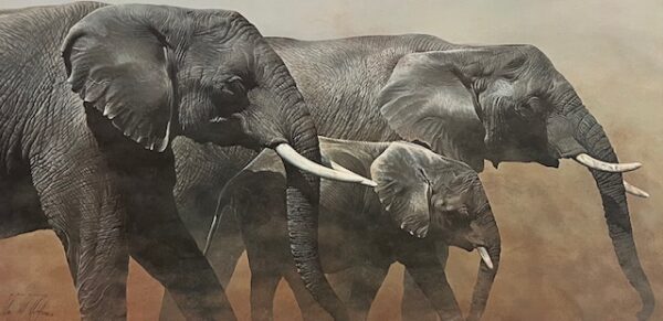 Samburu Summer - Elephants