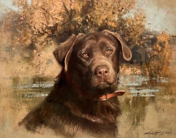 Chocolate Lab Head