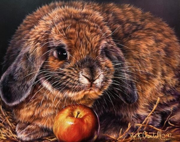 Apple Dumplin - Rabbit