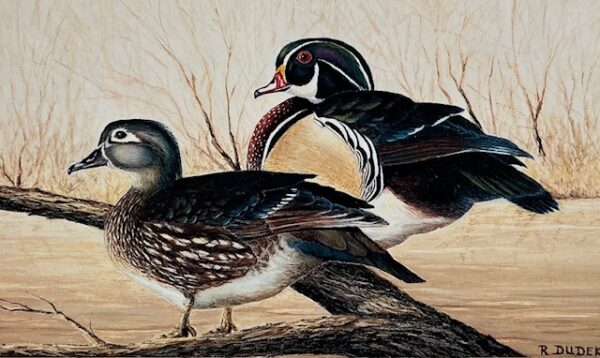 Loafing Woodies (Good Condition)