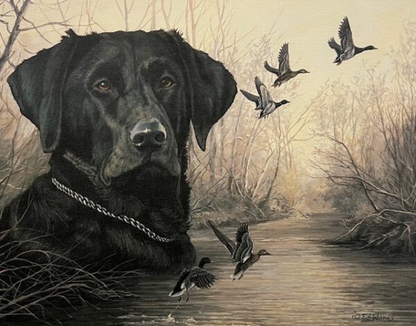 Dawn Intruders - Black Lab