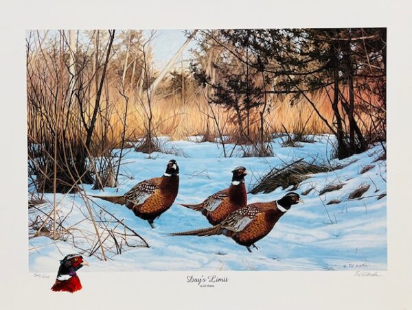Day's Limit - Pheasants - Remarqued