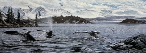 Ocean Symphony - Whales