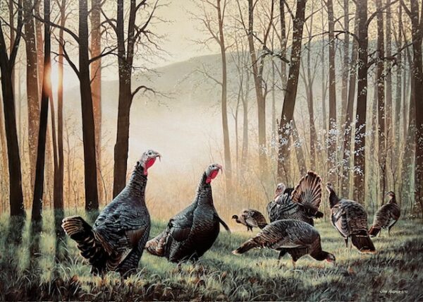 Turkeyfest