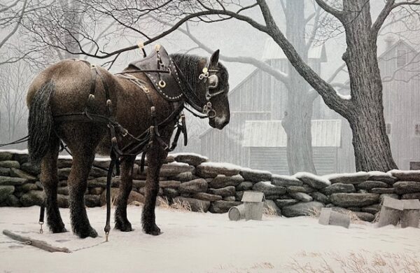 Sugarbush (Excellent Condition)