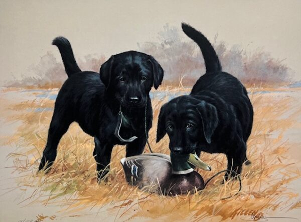 Double Trouble II - Black Lab Pups