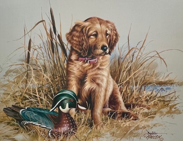 Great Beginnings - Golden Retriever