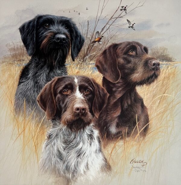 Great Hunting Dogs - Drahthaars