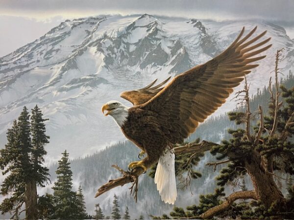 Alpenglow - Bald Eagles