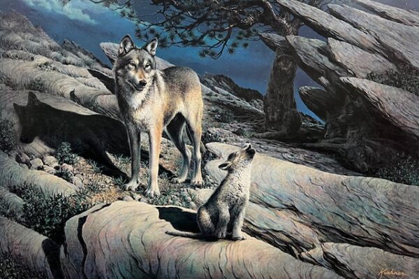The Solo - Wolves