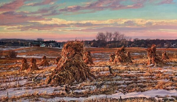 Harvest - Pheasants