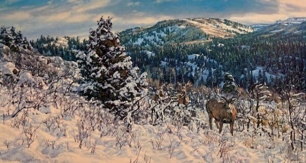 Winter Retreat - Mule Deer