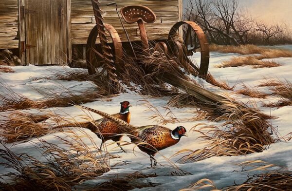 Abandoned Homestead - Pheasants
