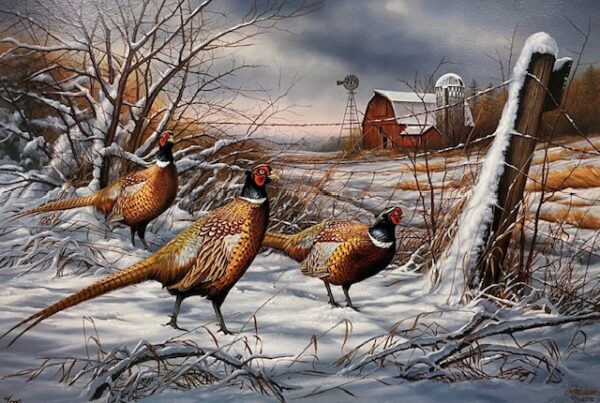 After the Storm - Pheasants