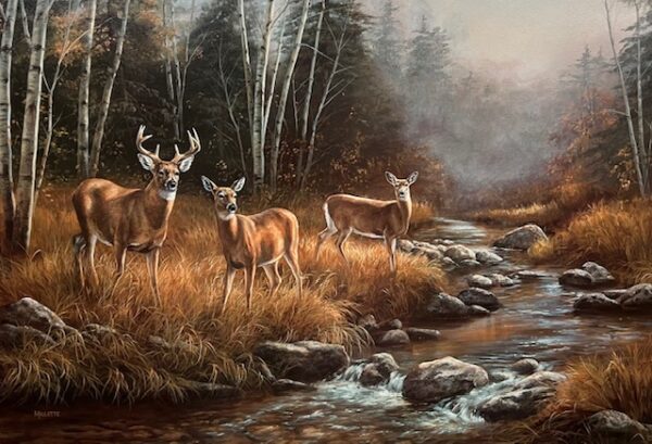 October Mist - Whitetail Deer