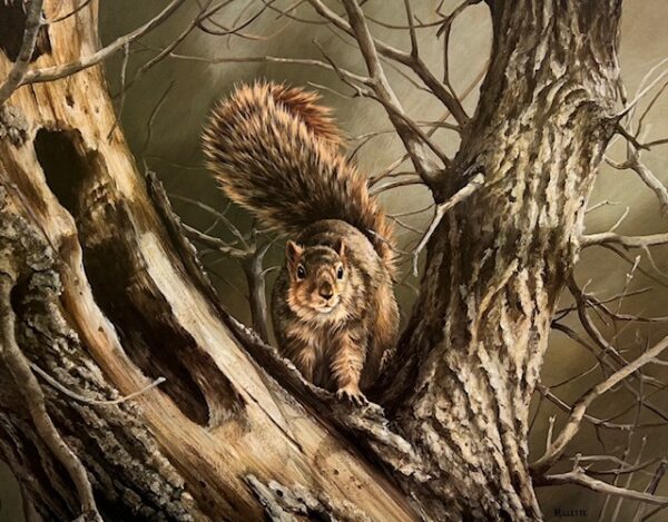 On the Alert - Squirrel