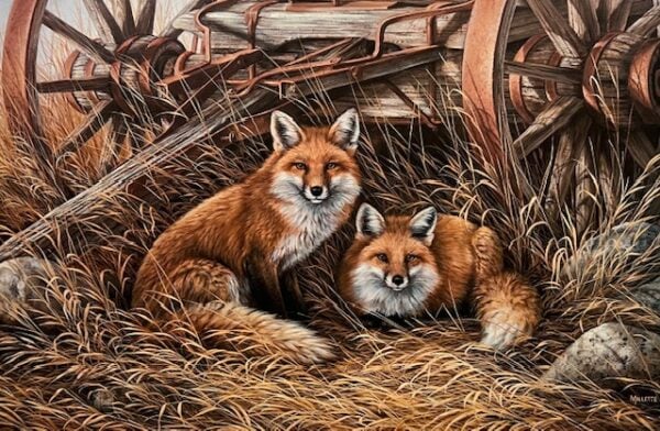 Rustic Retreat - Red Fox