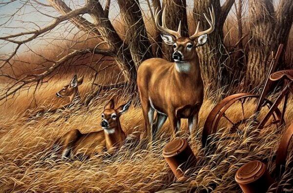 Rustic Retreat - Whitetail Deer