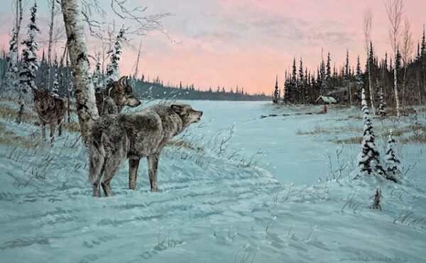 Wilderness Nexus - Wolves
